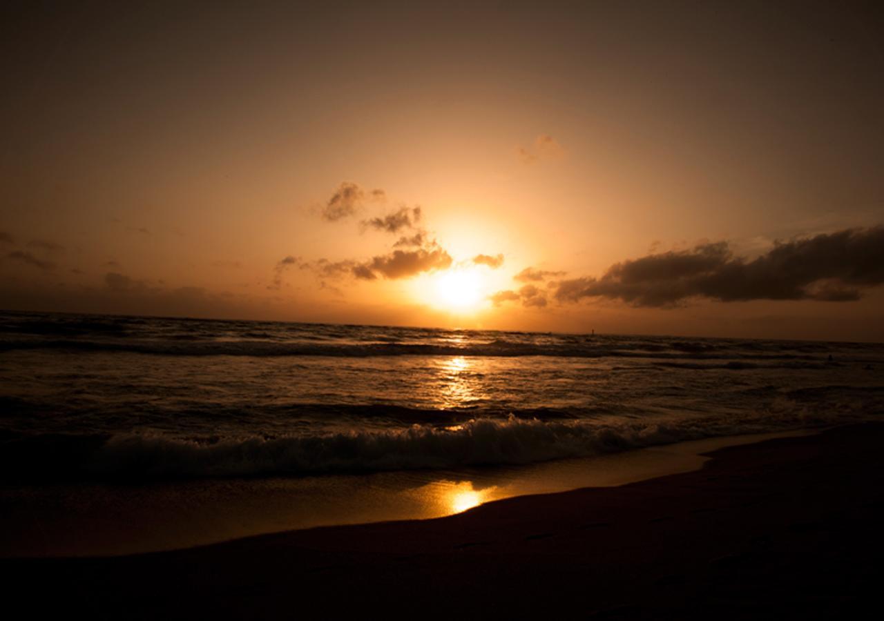 Colombo Lavinia Beach Hostel Dehiwala-Mount Lavinia Eksteriør bilde